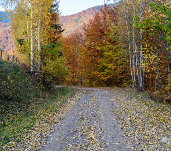 秋のカルパティア山脈と汚い田舎道 ウクライナ — ストック写真