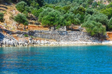 Yaz kefalonia sahil görünümü (Yunanistan)