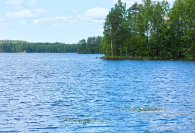 Lake rutajarvi yaz görünümü (Finlandiya).