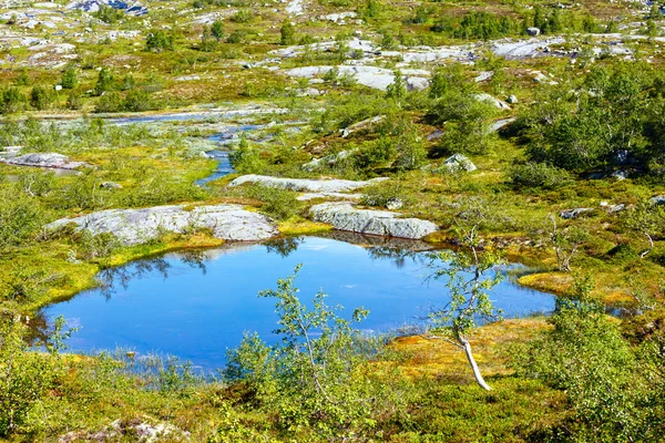 夏の山の湖 (ノルウェー) — ストック写真