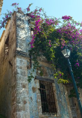 çiçekli ağaç çatı