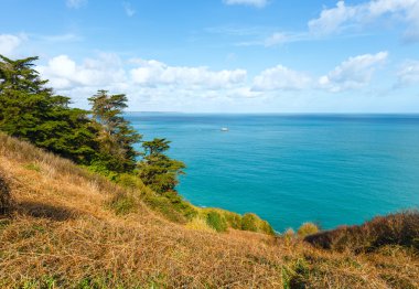 Atlantik Okyanusu kıyı şeridi manzara (Fransa bahar)