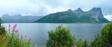 Fjord yaz bulutlu panorama (Norveç)