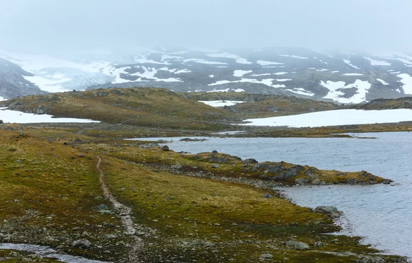 Montanha de verão com lago e neve (Noruega ) — Fotografia de Stock