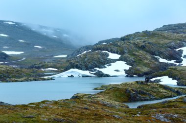 Yaz dağ Gölü ve kar (Norveç)