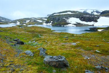 Yaz dağ Gölü ve kar (Norveç)