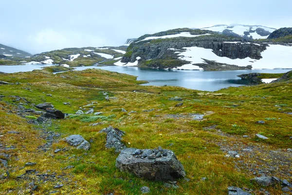 Yaz dağ Gölü ve kar (Norveç)