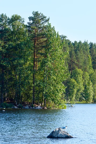 Sommar med sjöutsikt (finland). — Stockfoto