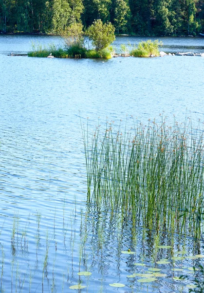 Widok na jezioro lato (Finlandia). — Zdjęcie stockowe