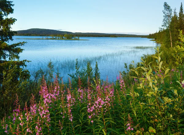Sommar med sjöutsikt (Sverige). — Stockfoto