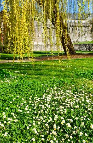 Parco di primavera (Francia, Fougeres  ) — Foto Stock