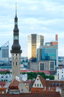 Tallinn şehir yaz görünümü