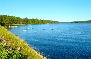 Yaz Oda (Finlandiya).