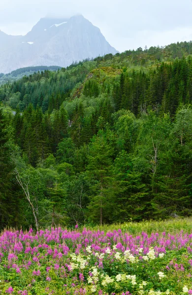 Літній дощ видом на гори (Норвеґія) — стокове фото