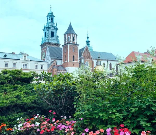 Wawel katedralen (Krakow, Polen) — Stockfoto