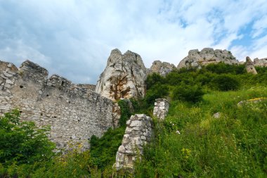 SPI kale (veya spissky hrad) kalıntıları. Slovakya.
