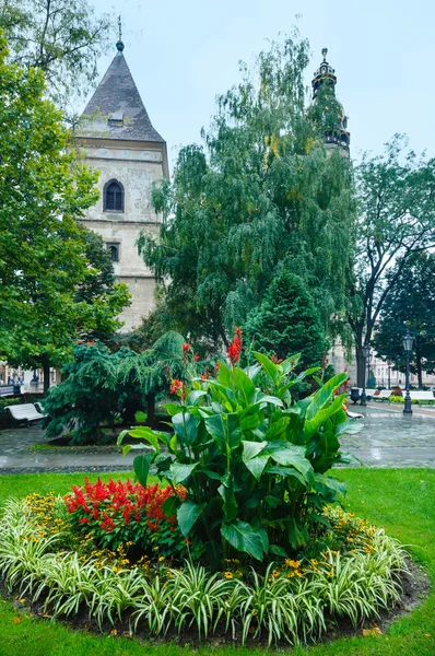 Осінній видом на місто Кошице — стокове фото