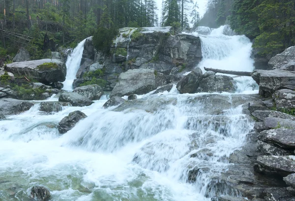 Große kalte Tal Sommer Blick (hohe Tatra, Slowakei). — Stockfoto