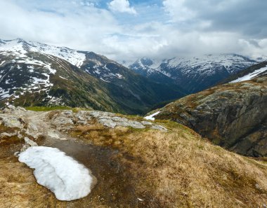 Yaz dağ manzarası (Grimsel Pass, İsviçre)
