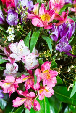 Büyük çok renkli alstroemeria çiçek buketi