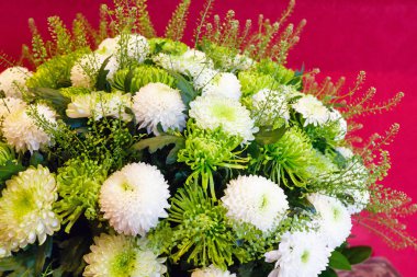 Beyaz kasımpatı çiçekleri buketi