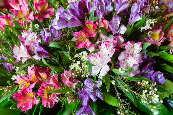 Großer mehrfarbiger Alstroemeria-Blumenstrauß — Stockfoto