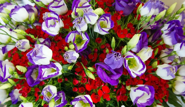 Grand bouquet de fleurs merveilleuses — Photo
