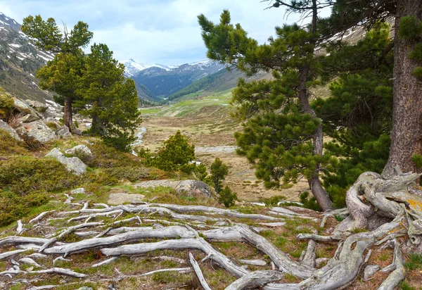 Paisagem de montanha de verão (Fluela Pass, Suíça ) — Fotografia de Stock