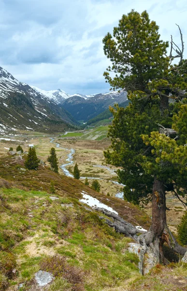 Krajobraz górski lato (Fluela Pass, Szwajcaria) — Zdjęcie stockowe