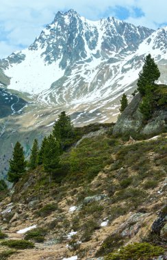 Alp dağ manzarası (Avusturya yaz).