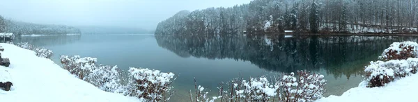 Panorama lago Alpsee invernale — Foto Stock