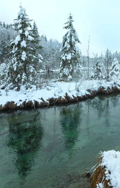 Piccolo ruscello invernale con alberi innevati . — Foto Stock