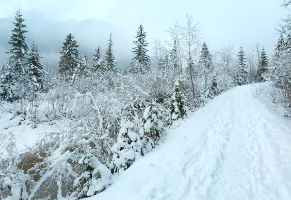 Zimowej strumienia z drzewa snowy. — Zdjęcie stockowe