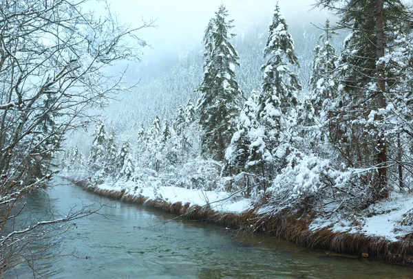 Piccolo ruscello invernale con alberi innevati . — Foto Stock