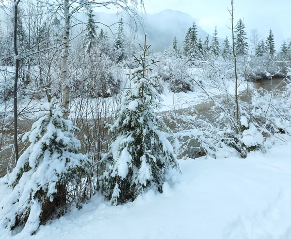 Pequeño arroyo de invierno con árboles nevados . — Foto de Stock