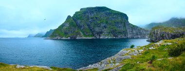 Yaz Lofoten sahil Panoraması (Norveç).