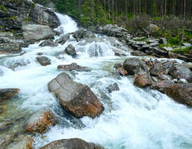 büyük soğuk vadi yaz görünümü (yüksek tatras, Slovakya).