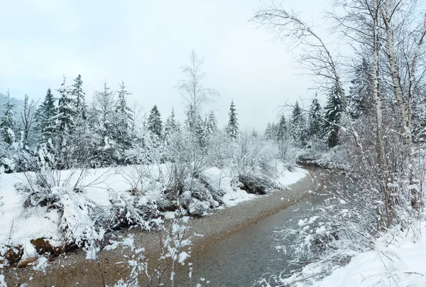 Kleiner Winterbach mit schneebedeckten Bäumen. — Stockfoto