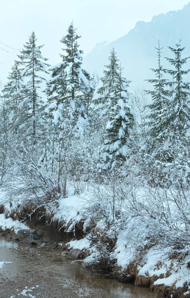 Kleiner Winterbach mit schneebedeckten Bäumen. — Stockfoto