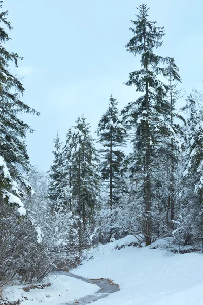 Petit ruisseau d'hiver avec des arbres enneigés . — Photo