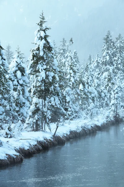 Kleine winter stream met besneeuwde bomen. — Stockfoto