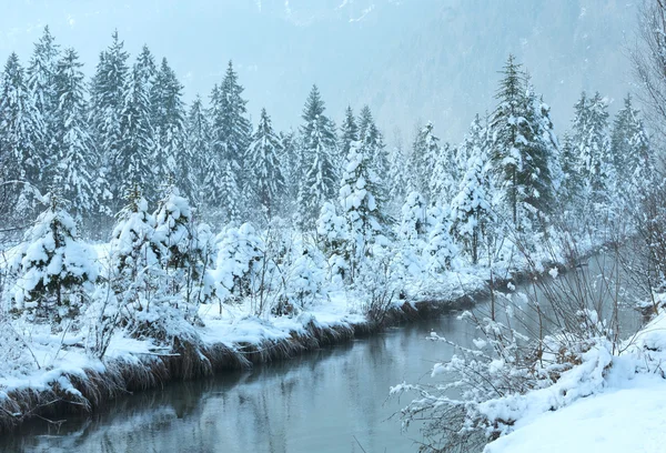 Malé zimní stream s zasněžené stromy. — Stock fotografie