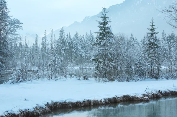 Pequeño arroyo de invierno con árboles nevados . — Foto de Stock