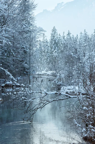 Small winter stream with snowy trees. — Stock Photo, Image