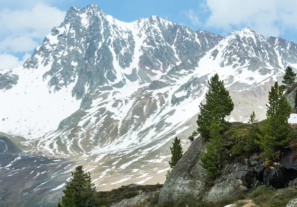 夏のアルプスの山の風景 (オーストリア). — ストック写真
