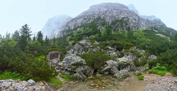 Great Cold Valley vista de verão (High Tatras, Eslováquia ). — Fotografia de Stock
