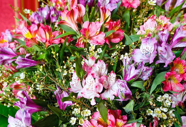 Großer mehrfarbiger Alstroemeria-Blumenstrauß — Stockfoto