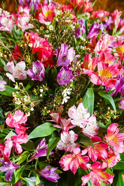 Grand bouquet de fleurs alstroemeria multicolore — Photo