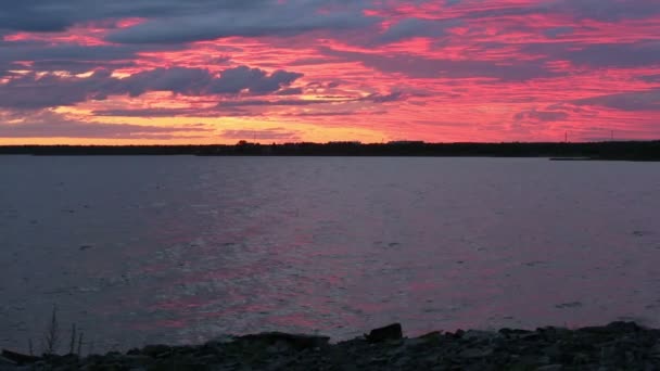 (フィンランド、極地の日湾の夜空) ストック動画