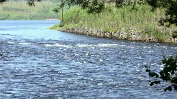 Sommaren river (Sverige) — Stockvideo